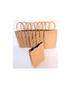 Bag Paper Brown with Twisted handle (Small) 350x260+110mm pk50