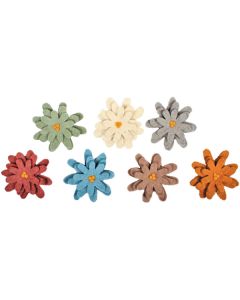Earth Asters Pack of 7