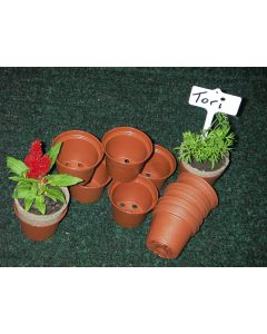 Mini Terracotta Pots Recyclable Pack of 30 