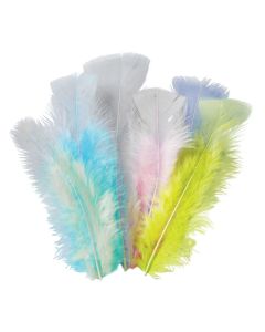 Feathers Pastel Assorted 10g