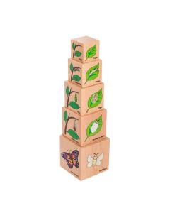 Lifecycle Wooden Blocks Set of 5