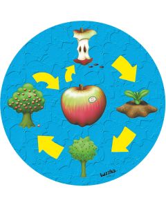 Life Cycle – The Apple Puzzle