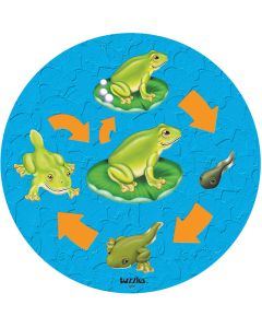 Life Cycle Frog Puzzle