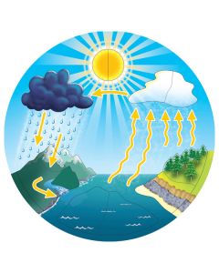 Water Cycle 12 Piece Puzzle