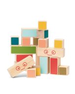 Building Blocks Wooden Set of 20