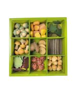 Nature's Sorting Box Set of 71